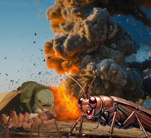 Cicadas and cockroaches expected to soon declare war against each other in ultimate showdown for supremacy over LT community (Knott/LiOnion). 