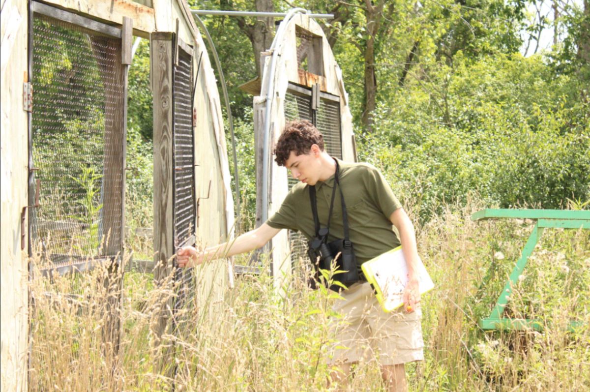 Jacob Patterson ‘26, checking on bird nests in Brookfield Zoo.
(photo courtesy of King Conservation Leadership Academy)
