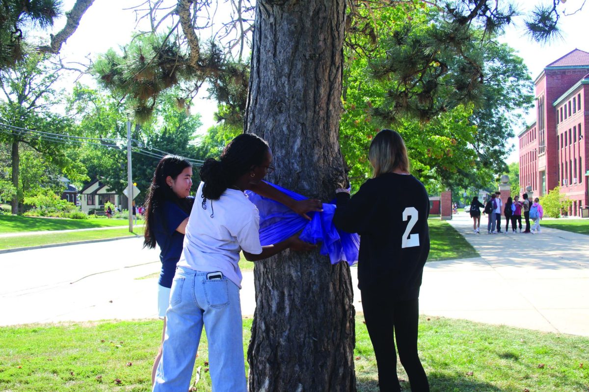 Students gather to tie purple ribbons around trees in honor of suicide prevention week (Brooks/LION).